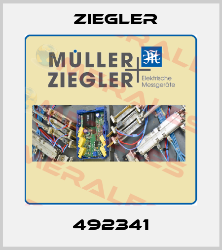 492341 Ziegler