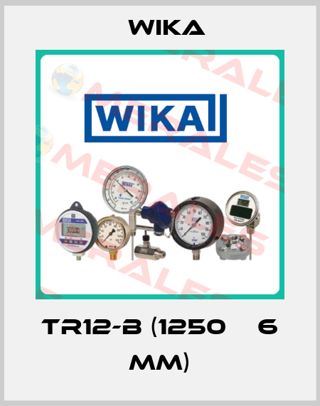 TR12-B (1250 х 6 mm) Wika