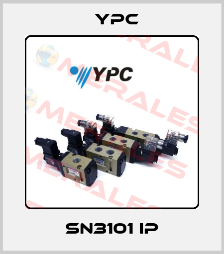 SN3101 IP YPC