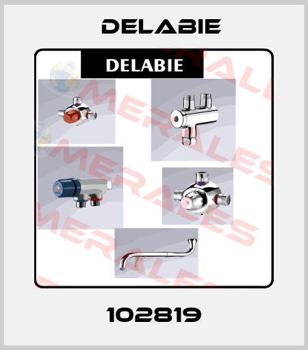 102819 Delabie