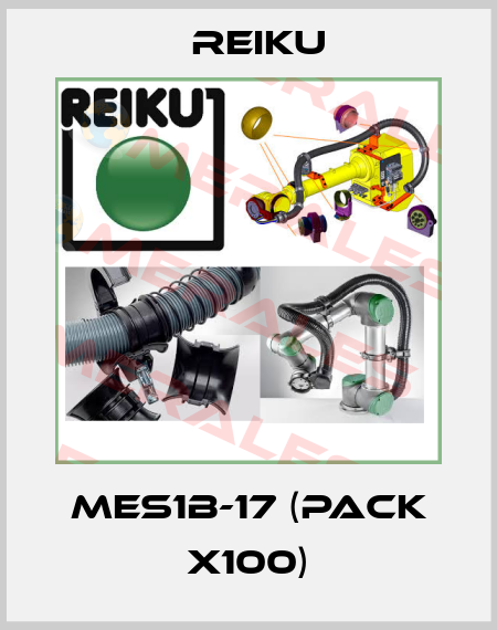 MES1B-17 (pack x100) REIKU