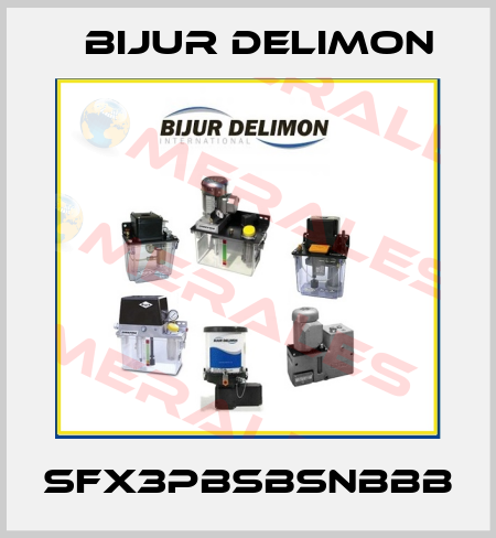 SFX3PBSBSNBBB Bijur Delimon