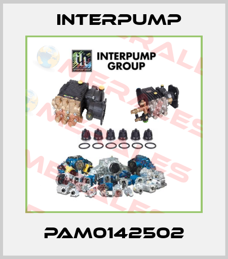 PAM0142502 Interpump