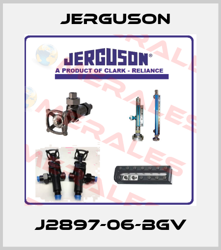 J2897-06-BGV Jerguson