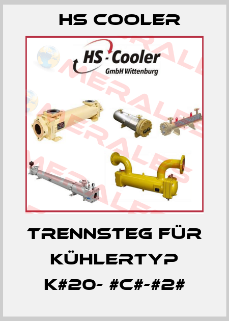 Trennsteg für Kühlertyp K#20- #C#-#2# HS Cooler