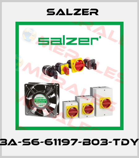 63A-S6-61197-B03-TDYR Salzer