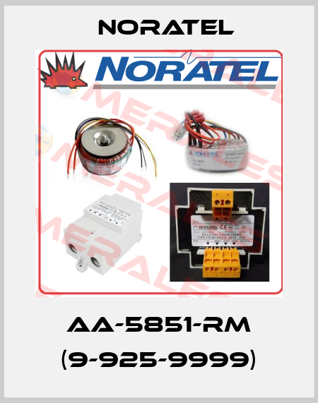 AA-5851-RM (9-925-9999) Noratel