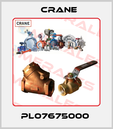 PL07675000  Crane