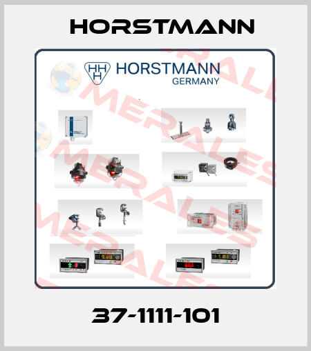 37-1111-101 Horstmann