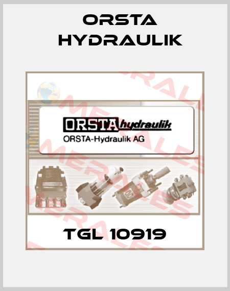 TGL 10919 Orsta Hydraulik