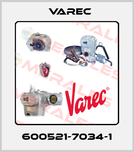 600521-7034-1 Varec