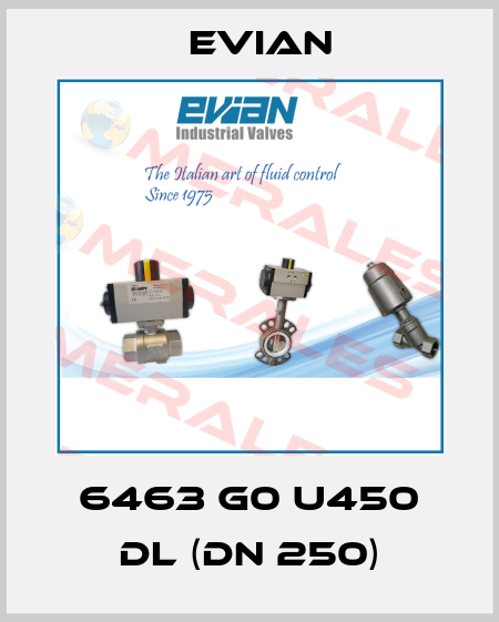 6463 G0 U450 DL (DN 250) Evian
