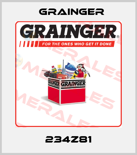 234Z81 Grainger