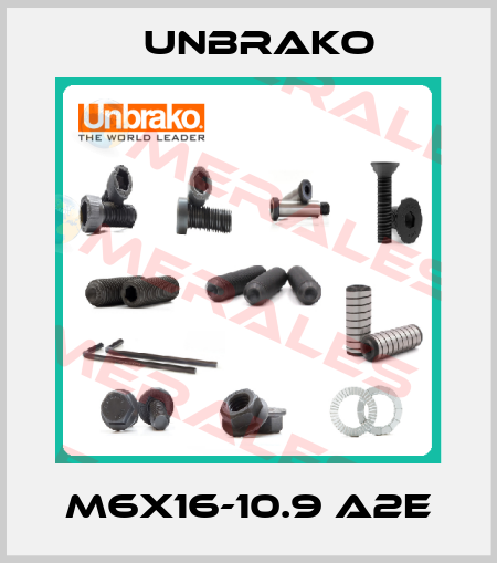 M6x16-10.9 A2E Unbrako