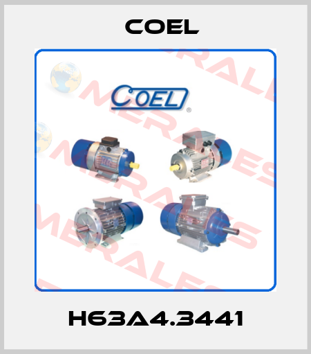 H63A4.3441 Coel