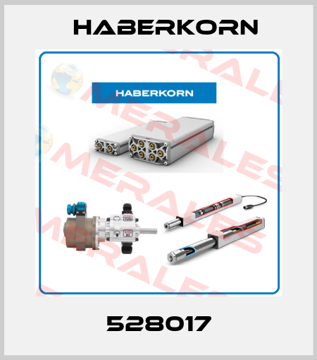 528017 Haberkorn