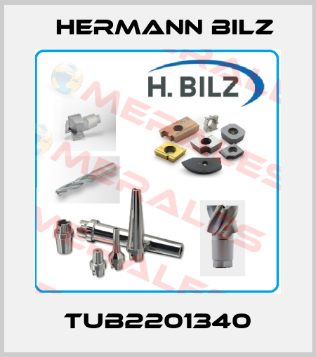 TUB2201340 Hermann Bilz