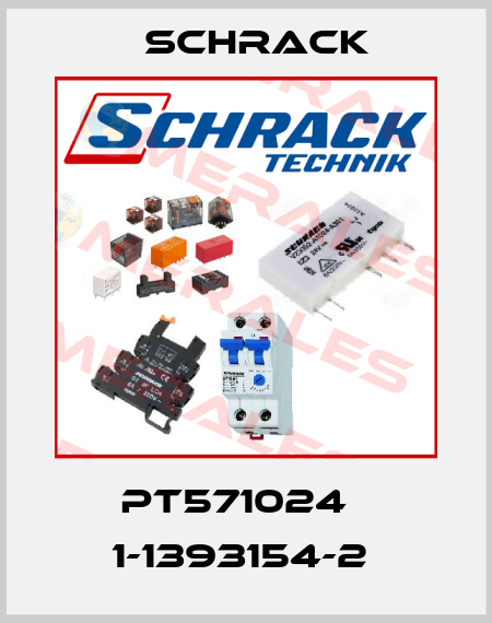 PT571024   1-1393154-2  Schrack