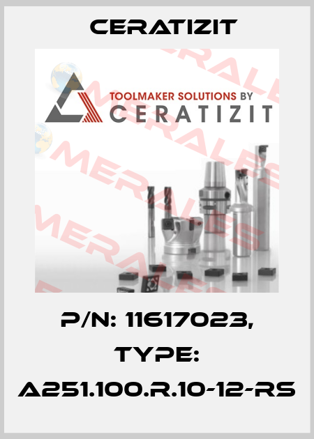 P/N: 11617023, Type: A251.100.R.10-12-RS Ceratizit