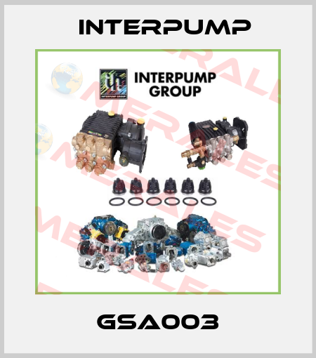 GSA003 Interpump