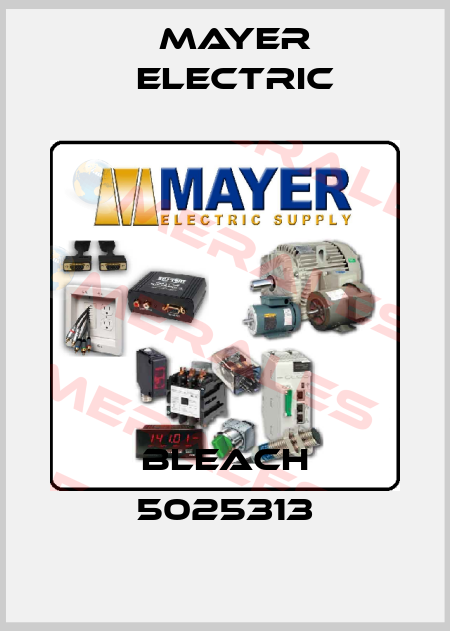 BLEACH 5025313 Mayer Electric