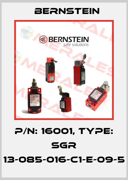 P/N: 16001, Type: SGR 13-085-016-C1-E-09-5 Bernstein