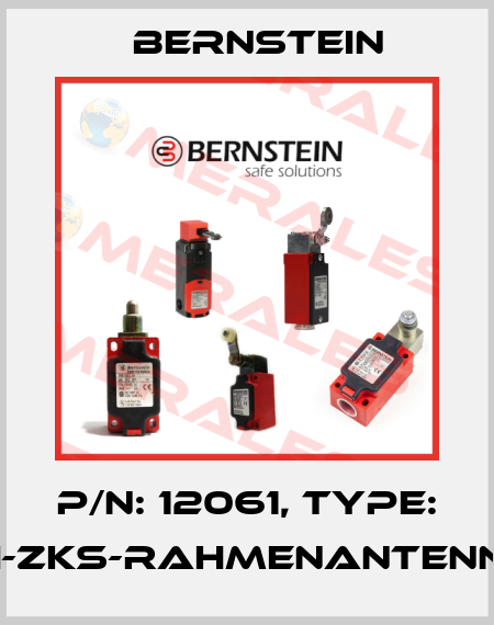 P/N: 12061, Type: SI-ZKS-Rahmenantenne Bernstein