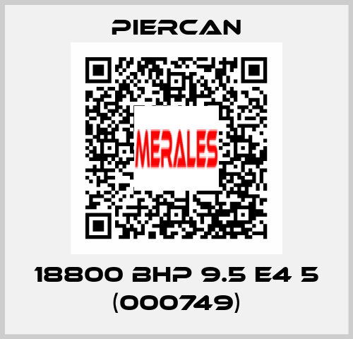 18800 BHP 9.5 E4 5 (000749) Piercan