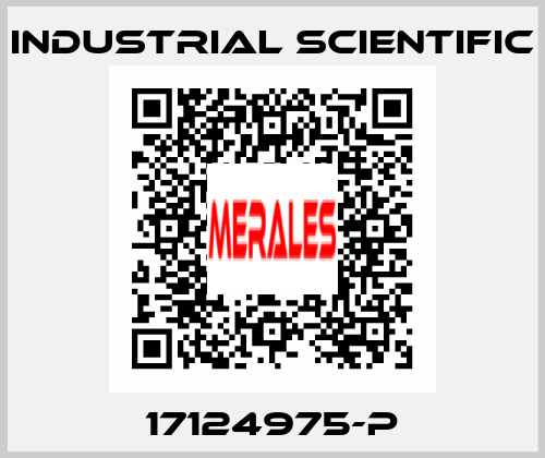 17124975-P Industrial Scientific
