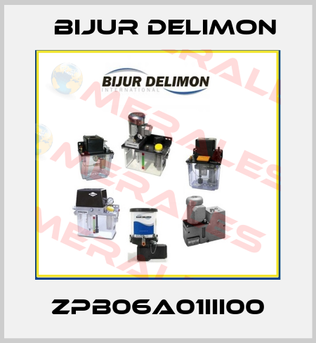ZPB06A01III00 Bijur Delimon