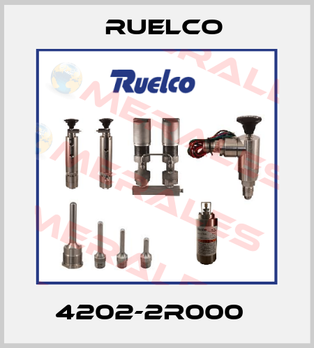 4202-2R000　 Ruelco