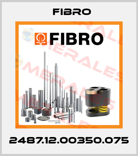 2487.12.00350.075 Fibro
