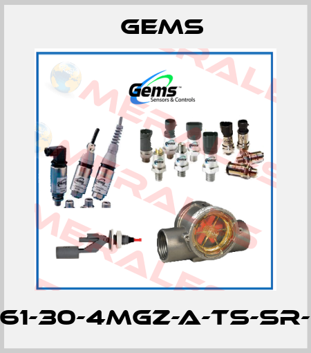 PS61-30-4MGZ-A-TS-SR-RB Gems