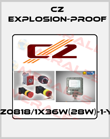 CZ0818/1X36W(28W)-1-YJ CZ Explosion-proof