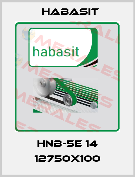 HNB-5E 14 12750X100 Habasit
