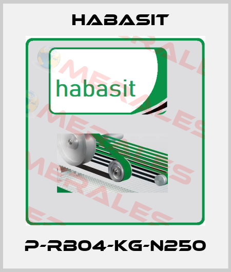 P-RB04-KG-N250 Habasit