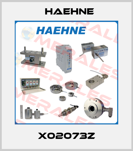 X02073Z HAEHNE
