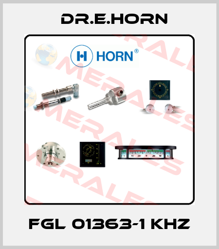 FGL 01363-1 KHZ Dr.E.Horn