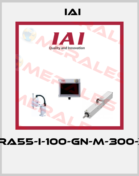 RC5-RA55-I-100-GN-M-300-X10-B  IAI