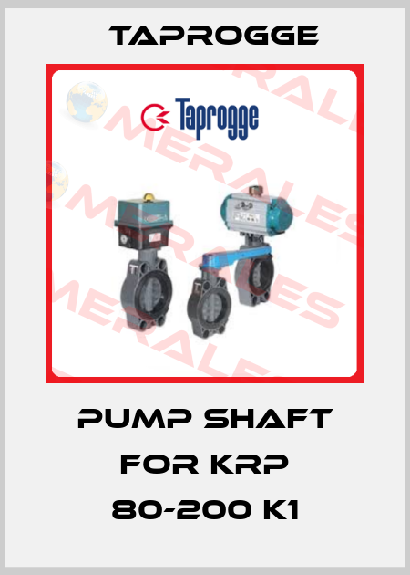 Pump Shaft for KRP 80-200 K1 Taprogge