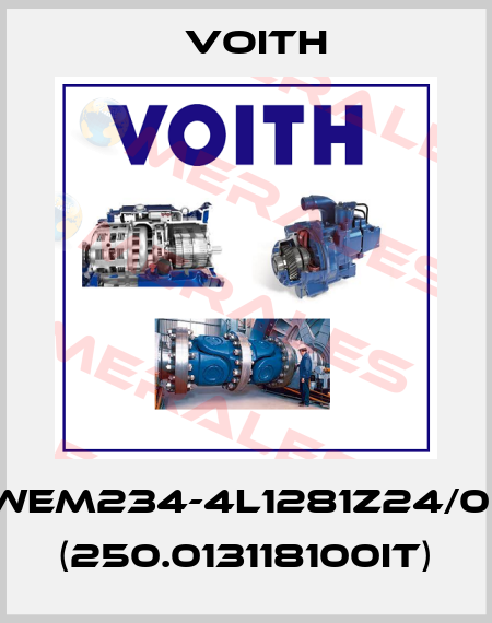 WEM234-4L1281Z24/0* (250.013118100IT) Voith