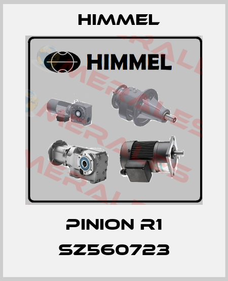 Pinion R1 SZ560723 HIMMEL