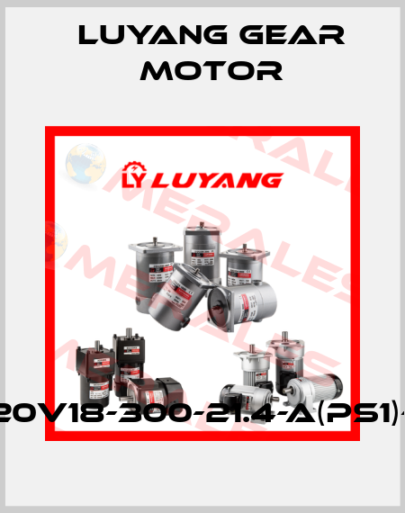 J220V18-300-21.4-A(PS1)-G3 Luyang Gear Motor