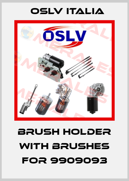 brush holder with brushes for 9909093 OSLV Italia