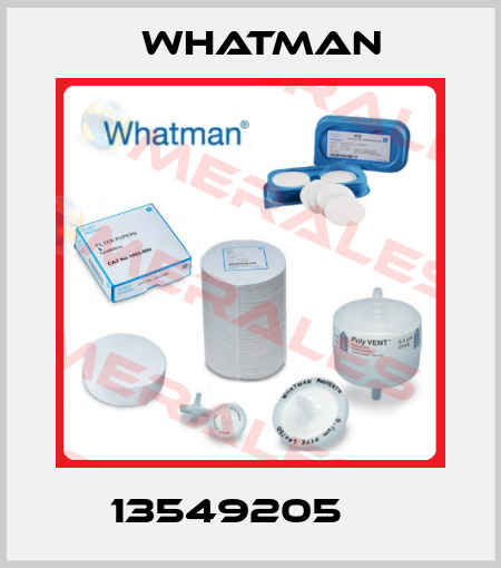 13549205     Whatman