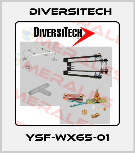 YSF-WX65-01 Diversitech