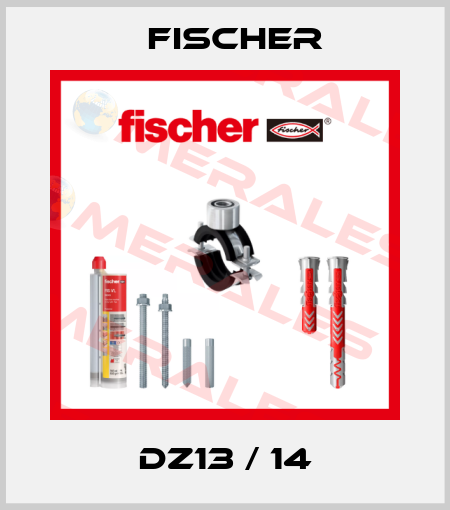 DZ13 / 14 Fischer