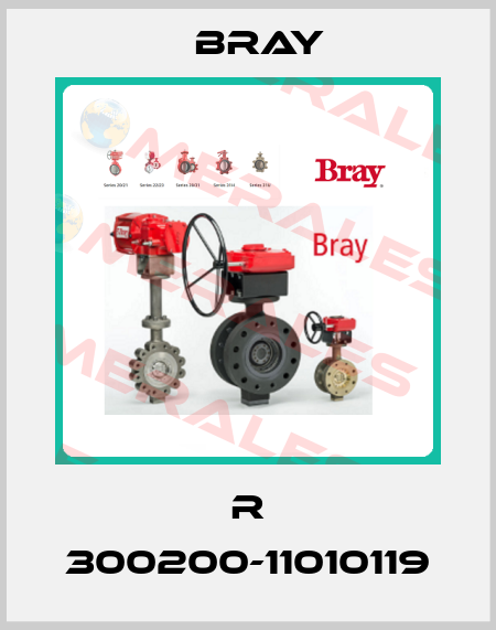r 300200-11010119 Bray