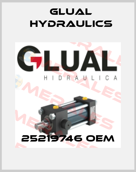 25219746 OEM Glual Hydraulics