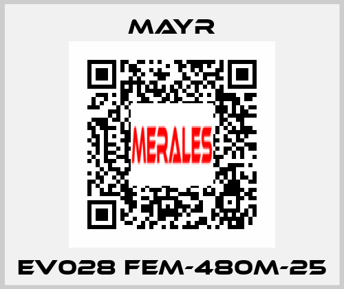 EV028 FEM-480M-25 Mayr